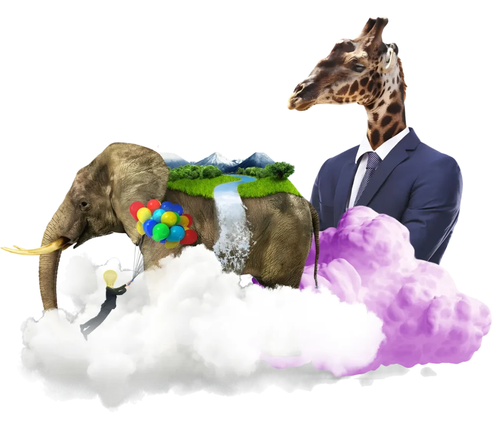 retirement made simple - elephant and giraffe in clouds